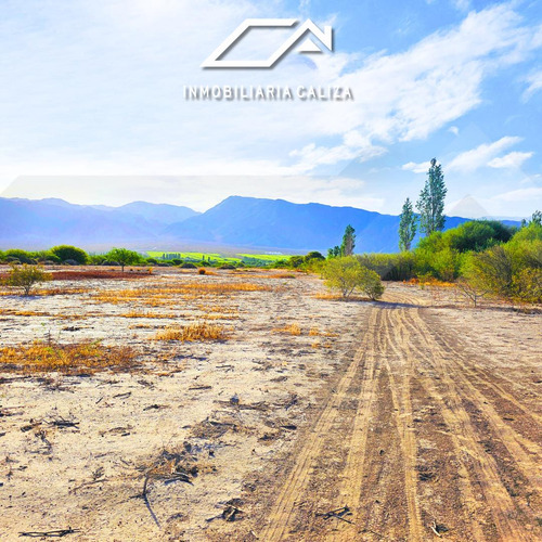 Finca Terreno Loro Huasi - Santa Maria - Catamarca