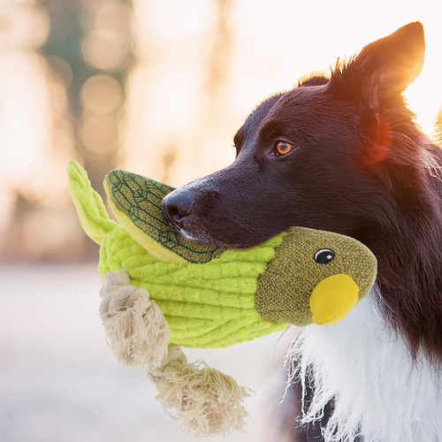 Peluche Para Perros Squeaky Dog Toy Of War Interactive