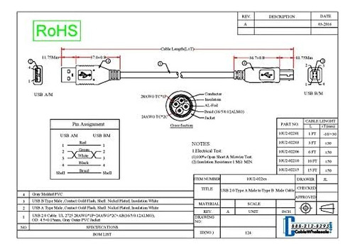 Cablewholesale Cable Usb 2.0 De 1 Pie, Negro, Conector Macho