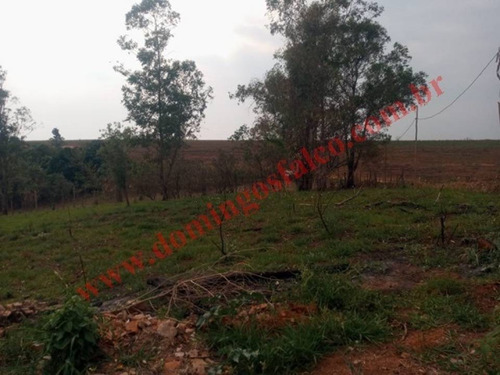 Imagem 1 de 19 de Venda - Chácara - Colina Santa Izabel (tupi) - Piracicaba - Sp - D0440