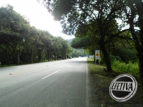 Imagem 5 de 5 de Terrenos 600m² Prainha - Guaratuba - 553t