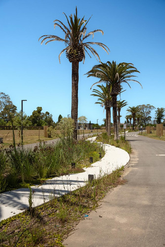 Venta Terreno En Zona Lagos, Parque Miramar