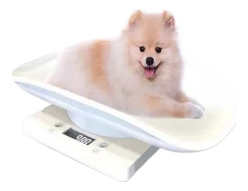 M Báscula Digital De Alta Precisión Para Perros Y Gatos
