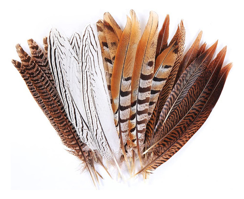 Ff08 - 12 Plumas Naturales De Faisn De 4 Estilos De 20 A 9.8