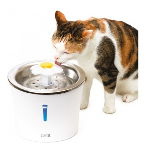 Fuente De Agua Gatos Cat It  Acero Inoxidable Y Luz Led 