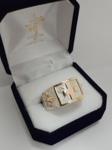 Anillo Profesión Enfermero Plata Y Oro