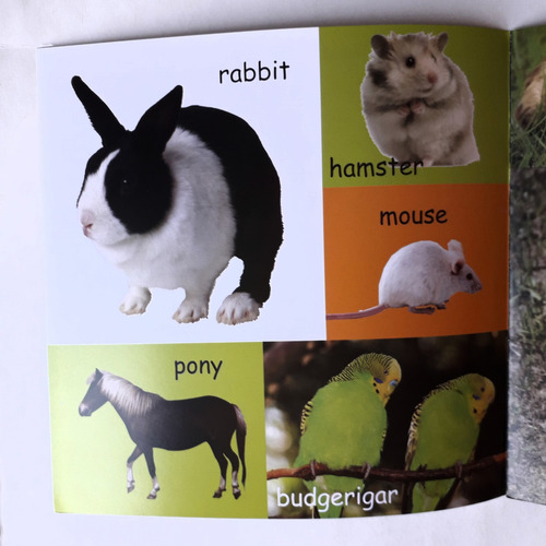 Mi Primer Libro De Animales En Inglés