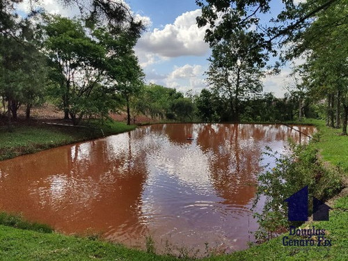 Imagem 15 de 16 de Rural Chacara - 775286-v