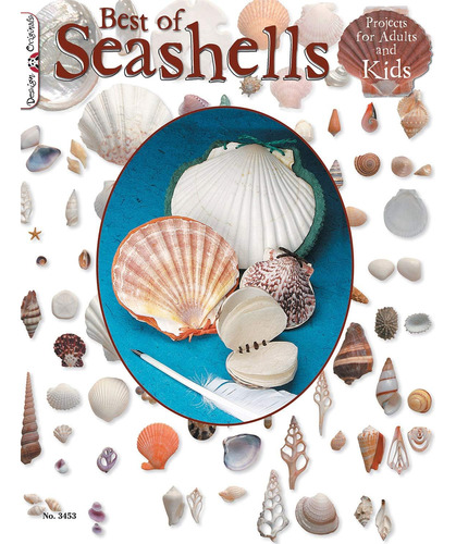 Libro: Best Of Seashells: Projects For Adults & Kids (design