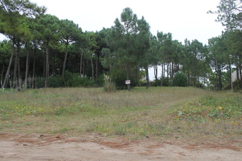 Imagen 2 de 2 de Lote En Venta - Zona Penelope / Ref: 1519