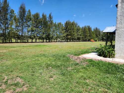 Imagen 17 de 30 de Chacra 5 Hs Con 2 Casas - Consulte !!! - Zona Rural Zona Rural
