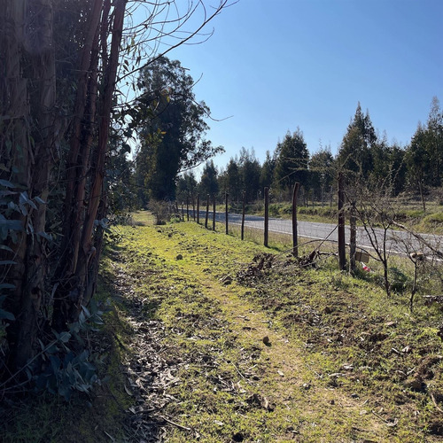 Parcelas En Vichuquén Al Lado De Laguna Torca Y Playa Llico