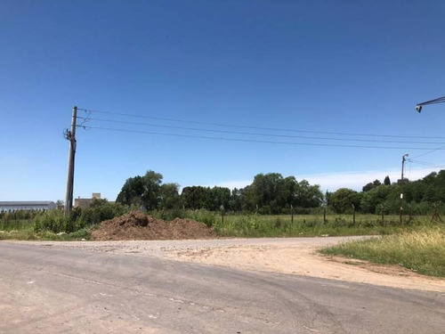 Reed Vende 4 Hectáreas Sobre Ruta 9 Excelente Ubicación.