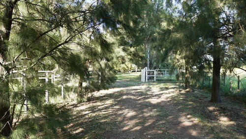 Imagen 2 de 23 de Campo Mixto De 95 Has - Antonio Carboni, Lobos