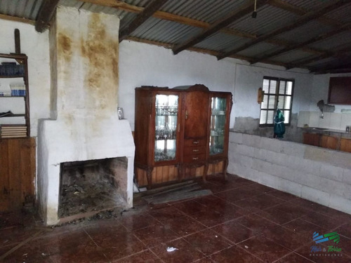 Imagen 6 de 30 de Vendo Excelente Chacra De 39 Hectáreas Para Granja Turística O Tambo, Aigua, Punta Del Este - Aiguá Aiguá
