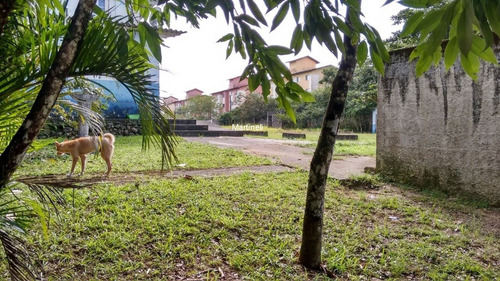 Imagem 3 de 7 de Area - Ar00003 - 70456493