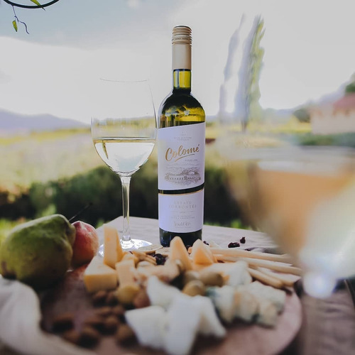 Imagen 2 de 10 de Vino Colomé Torrontés 750ml. - Envíos