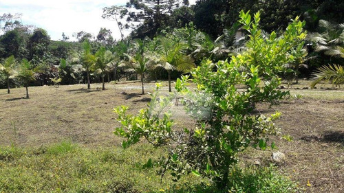 Imagem 13 de 30 de Sítio Com 3 Dormitórios À Venda, 302000 M² Por R$ 1.200.000,00 - Centro - Tapiraí/sp - Si0004