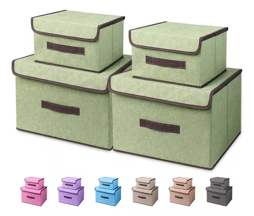 Cajas de Almacenaje Transparentes – Cajas Organizadoras de Plástico con  Tapa, Pack 6 uds (Verde Claro 45L)