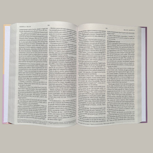 Bíblia 365 Para Corajosas Capa Dura: Leitura Integral Da Bíblia Em Um Ano Com Passagens Diárias Inspiradoras