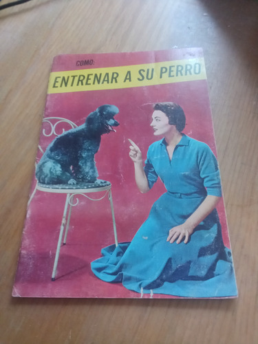 Como: Entrenar A Su Perro - David Sohn