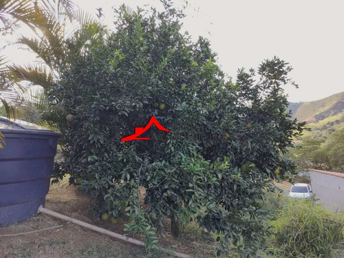 Imagem 28 de 30 de Terreno, Mato Dentro, Tremembé - R$ 450 Mil, Cod: 60140 - V60140