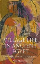Libro Village Life In Ancient Egypt : Laundry Lists And L...