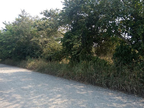 Vendo Terreno 15,000 M² Juana Moza Tuxpan Veracruz