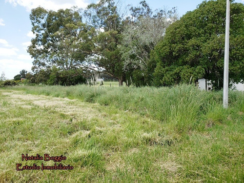 Imagen 6 de 10 de Lote En San Eduardo Del Mar 836 Mts2 Calle 16 Y 107