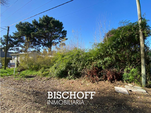 Venta De Terreno En Ostende Excelente Ubicación Sobre Calle Dakar