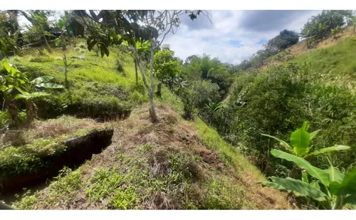 Se Vende Finca Vda La Julia Montenegro Quindío