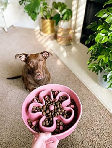 Plato Alimentación Lenta Para Perro De Cerámica 