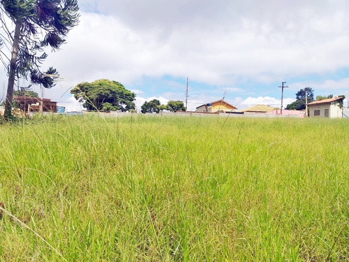Imagem 6 de 14 de *** Lançamento Em Mairinque***