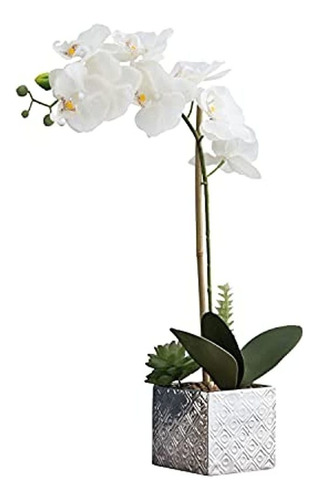 Favrd Flores Artificiales Orquídea Blanca Florero De Cerámic