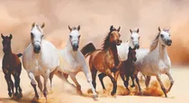 Comprar Vinilos Decorativos Murales Caballos Corriendo 1x0,50m.