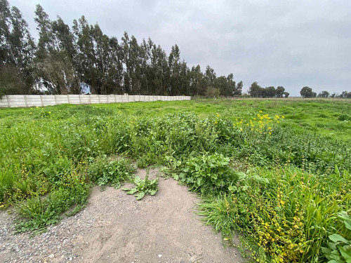 Imagen 14 de 19 de Bajó De Precio! Sitio En Parcelación De Isla De Maipo