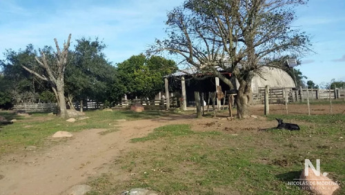 En Venta Campo Criador En Montevideo - Treinta Y Tres.