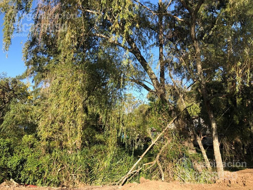 Imagen 4 de 7 de Terreno - Rincon De Milberg
