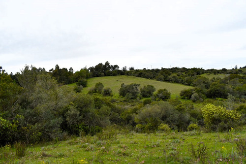 Chacra En Las Sierras Ruta 12 Próximo Pueblo Eden, Maldonado