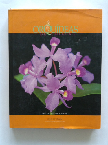 Orquídeas De Chiapas