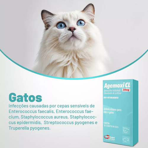 Kit 3 Agemoxi Cl 50mg 10 Compr Antibiótico Para Cães E Gatos