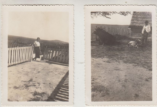 1937 Rocha Dos Fotografias En Estancia El Cerro De Castillos