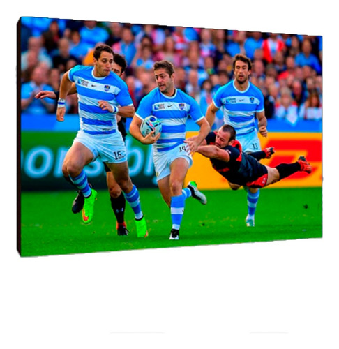 Cuadros Poster Deportes Rugby Pumas Xl 33x48 (pms (3))