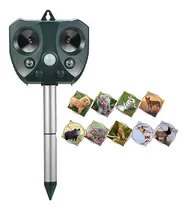 Comprar Repelente Solar Ultrasónico Animales Gatos Perros Ratones