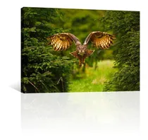 Comprar Cuadro Decorativo Animales Canvas Otros Buho Entre Arboles