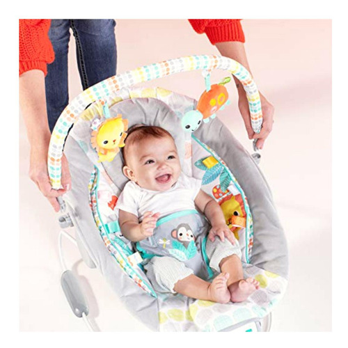 Bright Starts Comfy Baby Bouncer Soothing Vibrations Infant
