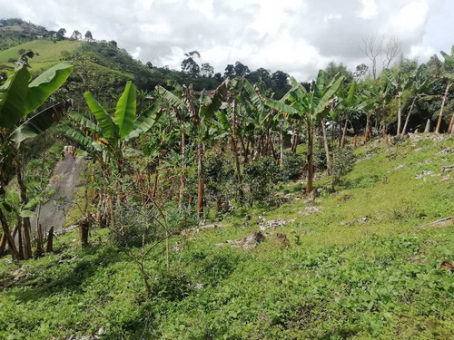 Imagen 20 de 30 de Vendo Finca En Avenida Condina Precio De Oportunidad