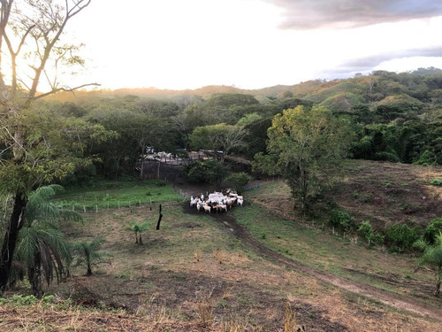 Casa Campestre, Finca Ganadera, En El Naipe, Carabobo. Zc.p