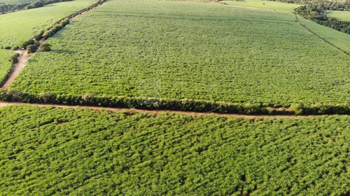 Excelente Fazenda Para Venda Em Itapetininga-sp, Com 244 Alqueires, Formada Em Cana, Frente Para Rodovia Castelo Branco, Rica Em Agua, Rio Nos Fundos - Fa00084 - 69245340