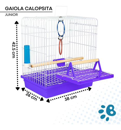 Gaiola Calopsita E Pássaro Manso